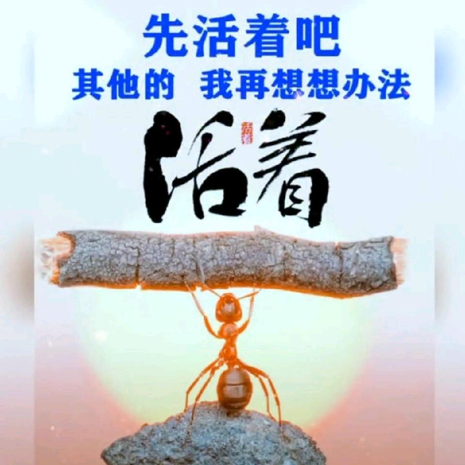 不作不会死001