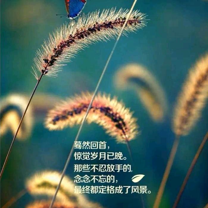 红醉江南