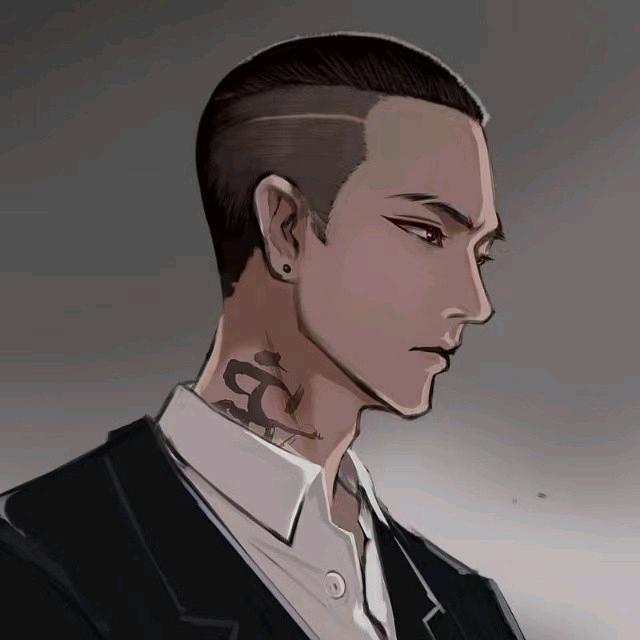 人无两度在少年丶