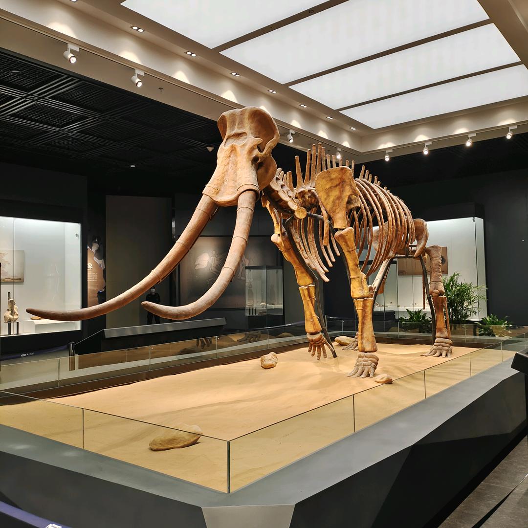 广告安装(宇飞)