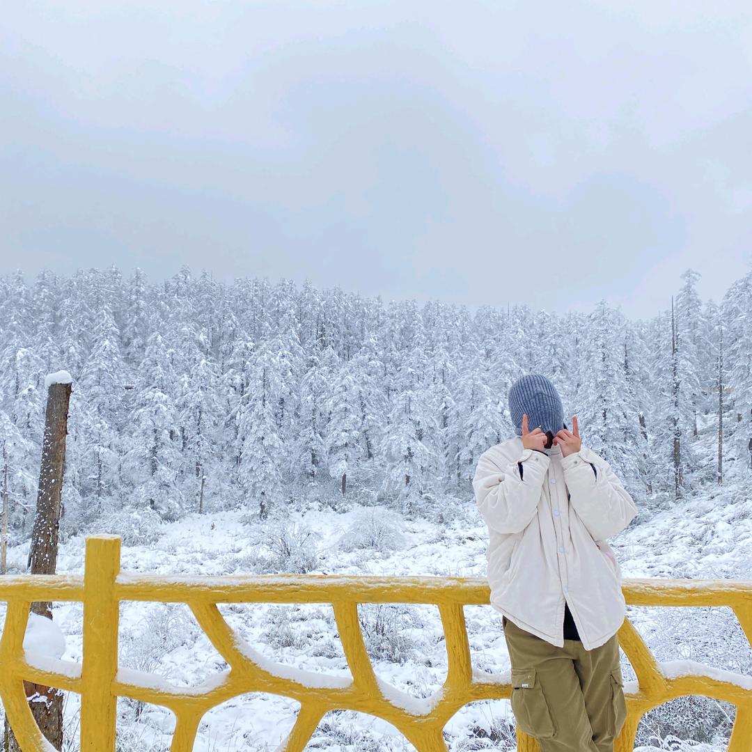 攀枝花泽程二手车销售有限公司