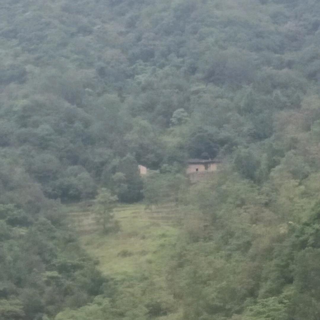 嘟&嘟嘟