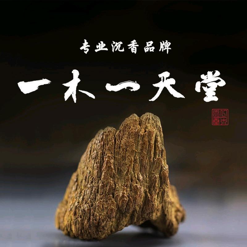 一木一天堂奇楠沉香历国栋