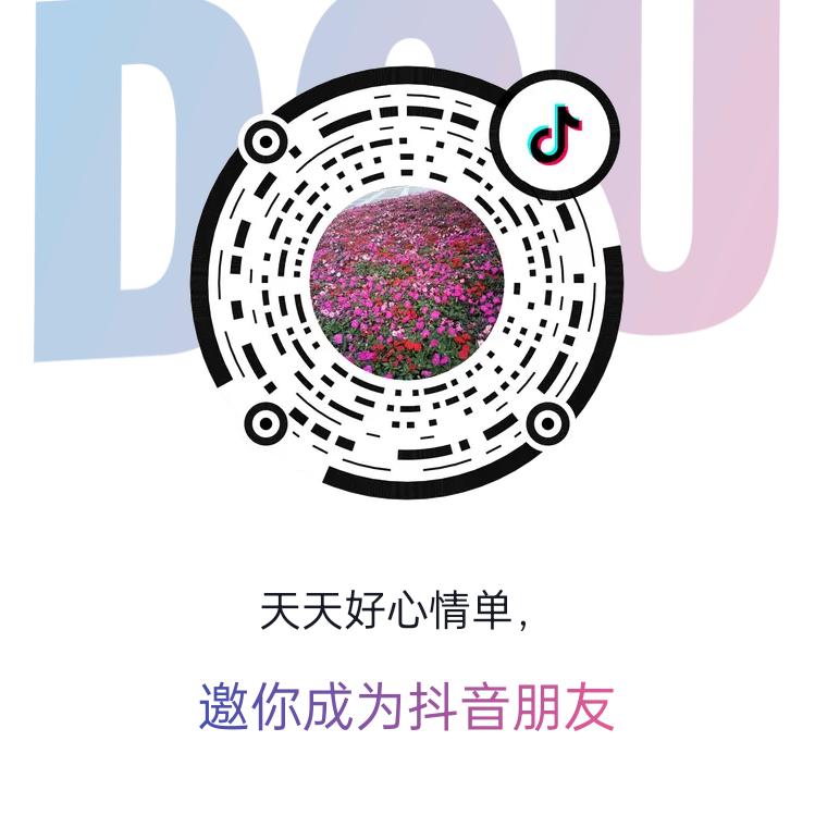抖音爸