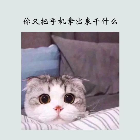 我看你演