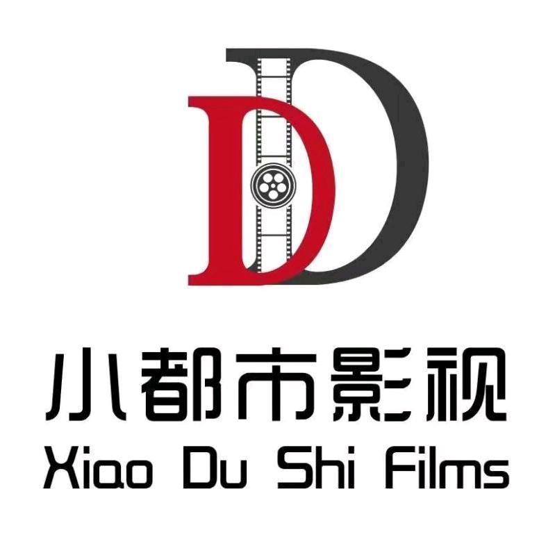 河北小都市影视文化有限公司