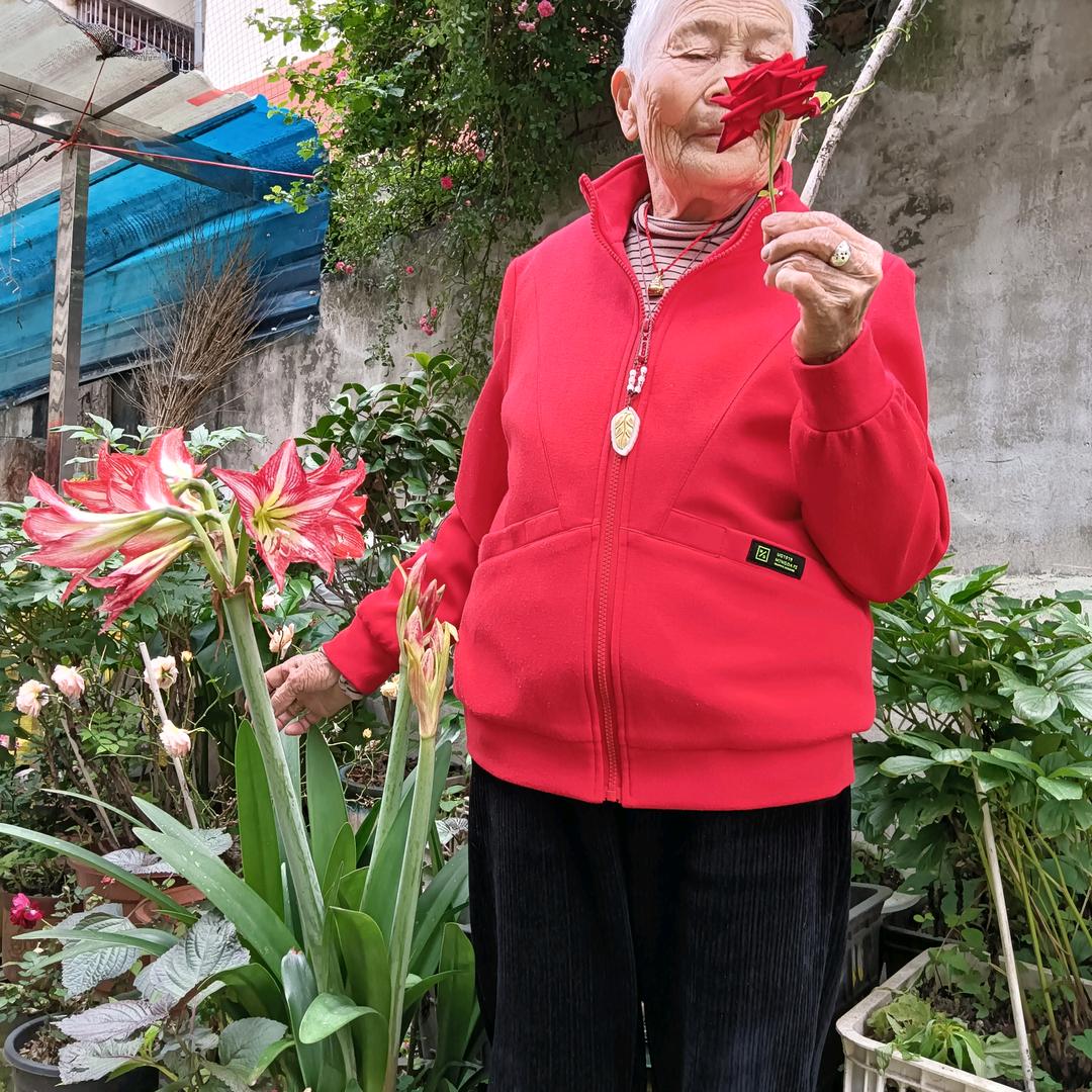曾婆婆