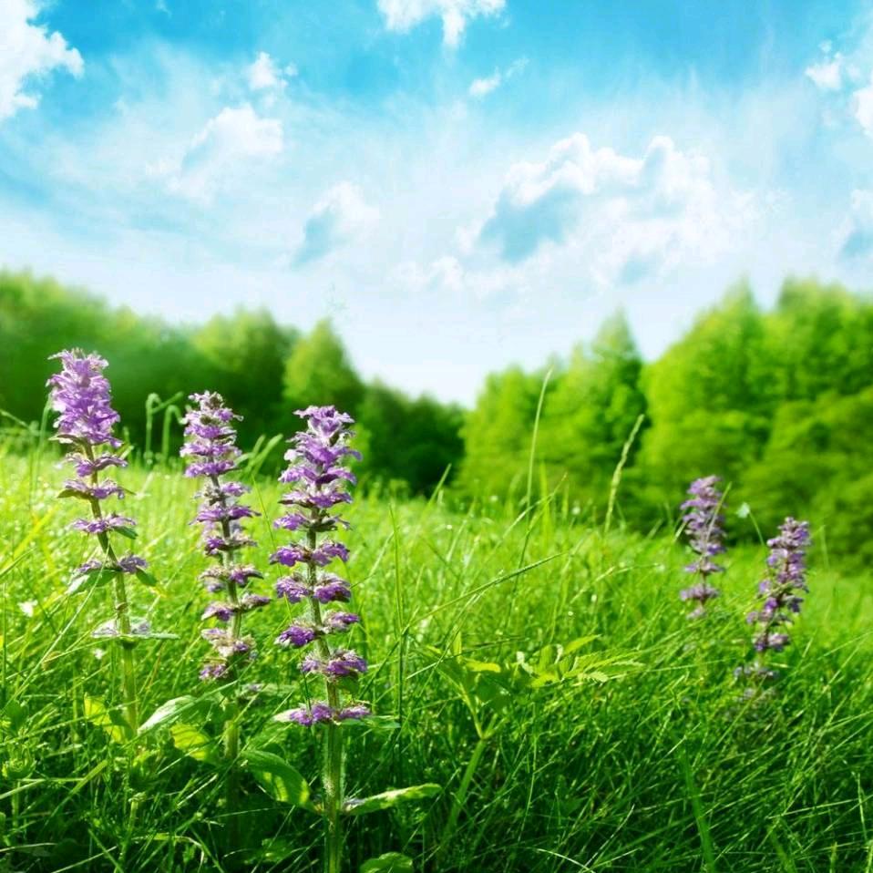 分享是一种快乐