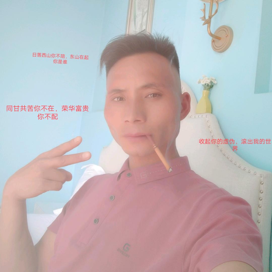 云凯花卉玫瑰种苗