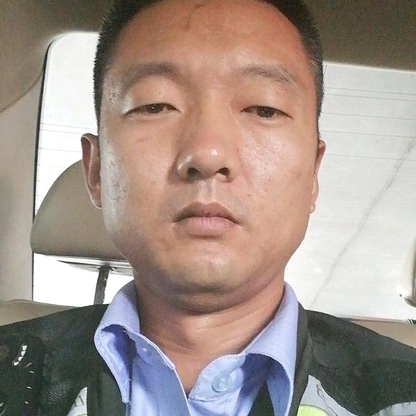 会飞的狼头像