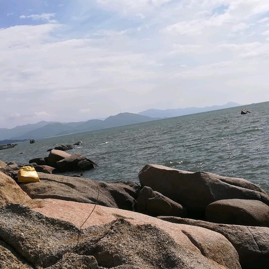 心若浮云