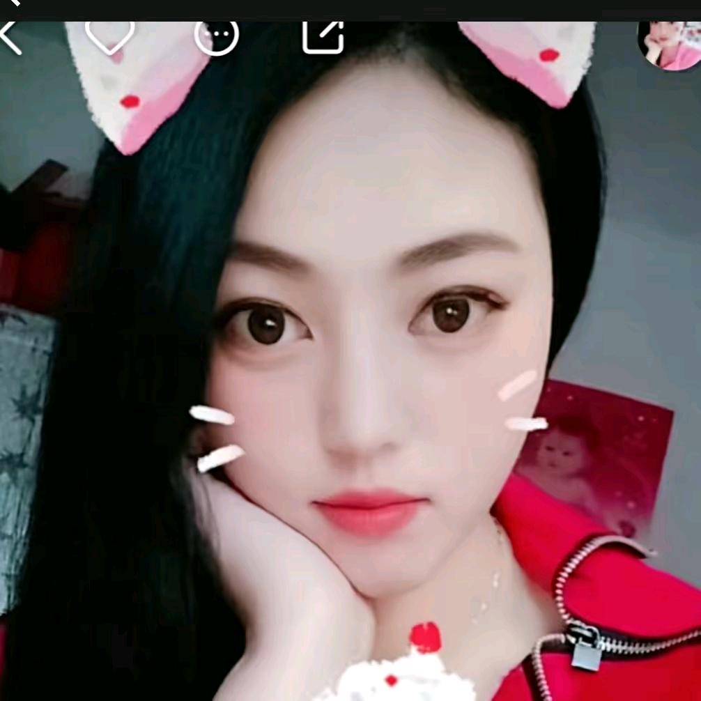 小猫爱打麻酱