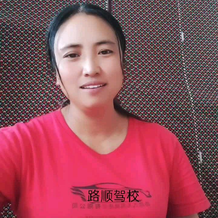 路顺驾校王教练