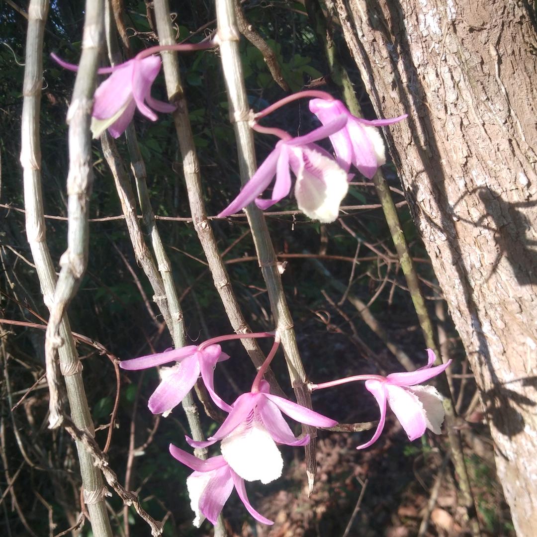 ：꧔ꦿ᭄余生💞有你᭄࿐