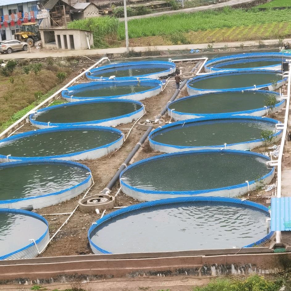 高密度养殖帆布鱼池循环水设备