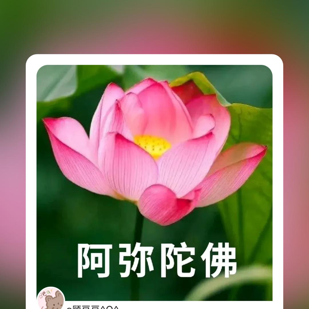 老来乐