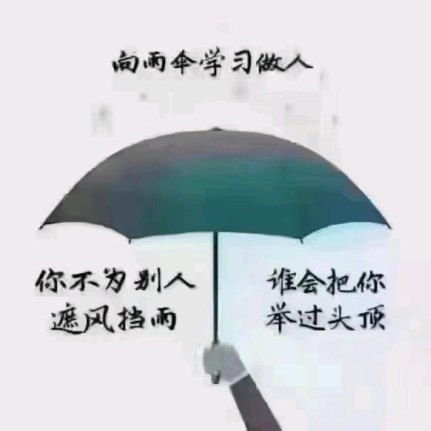 不做局中人