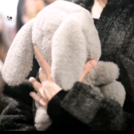 兔兔这么可爱当然要吃兔兔