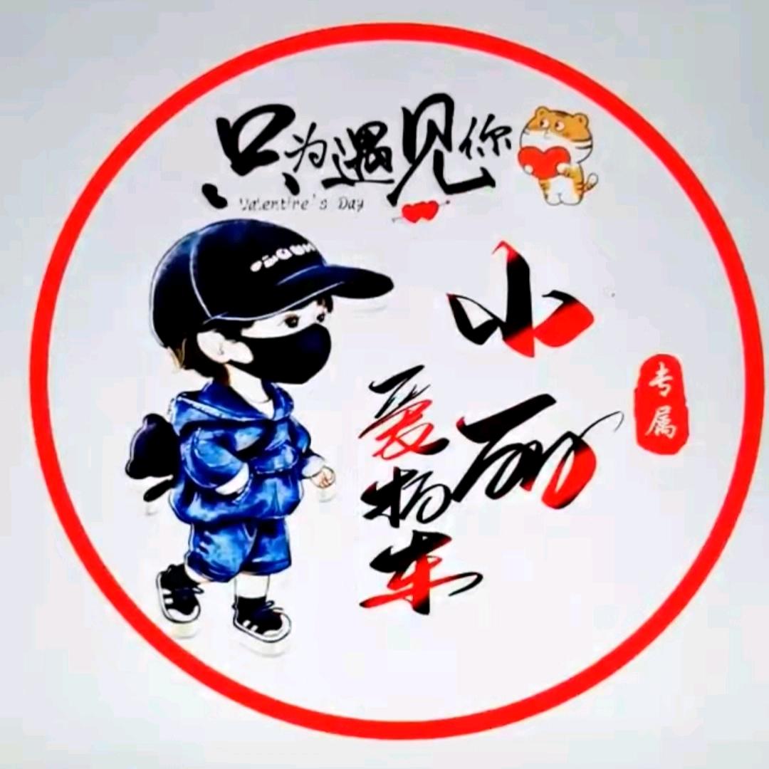 小丽爱拍车