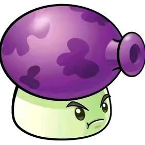 🟣 🟣 🟣 🟣 🟣 🟣