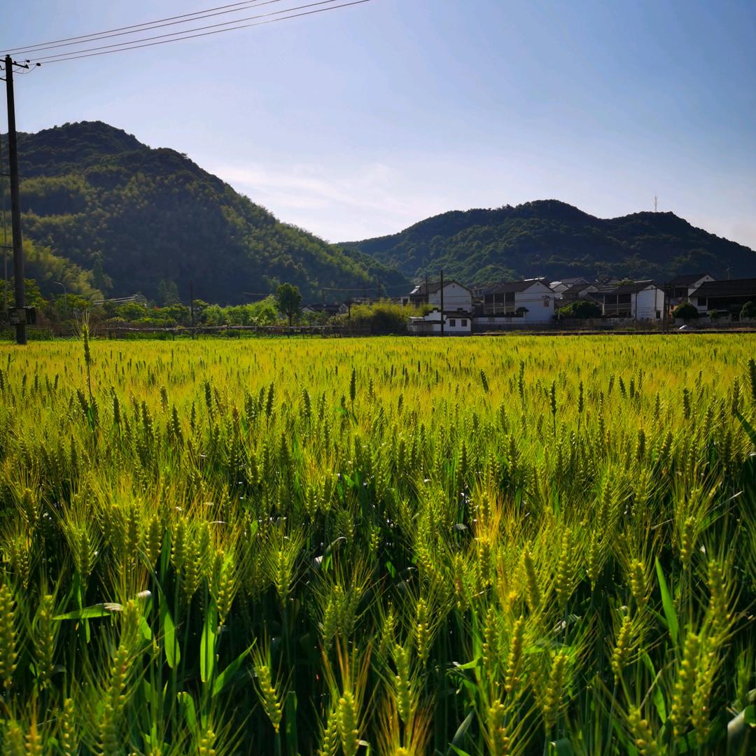 大龙山