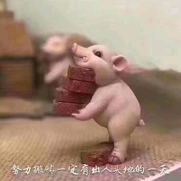 五饼