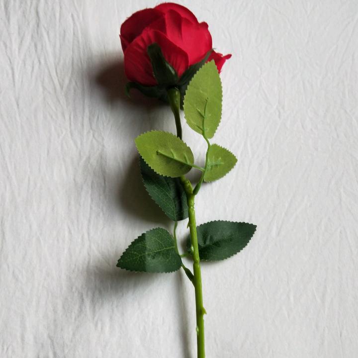 单恋一枝花