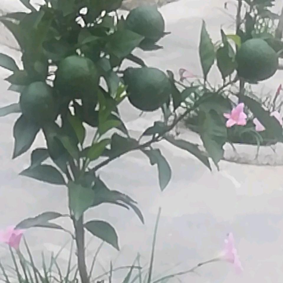 低调点好