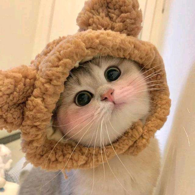 清橙动漫