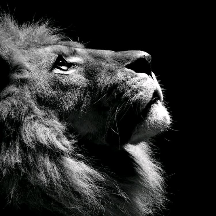 壁纸收藏家【日落】