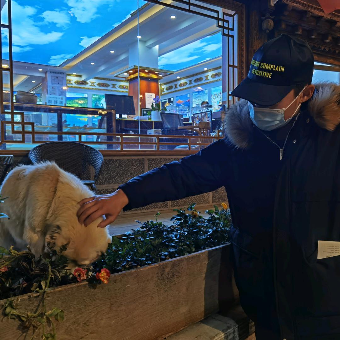 小张灬