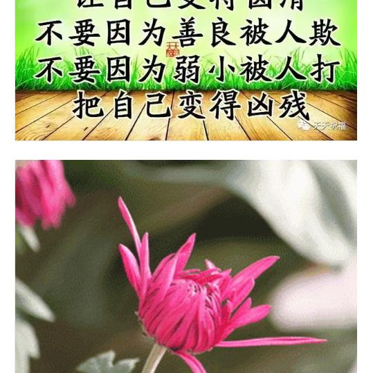 好朋友