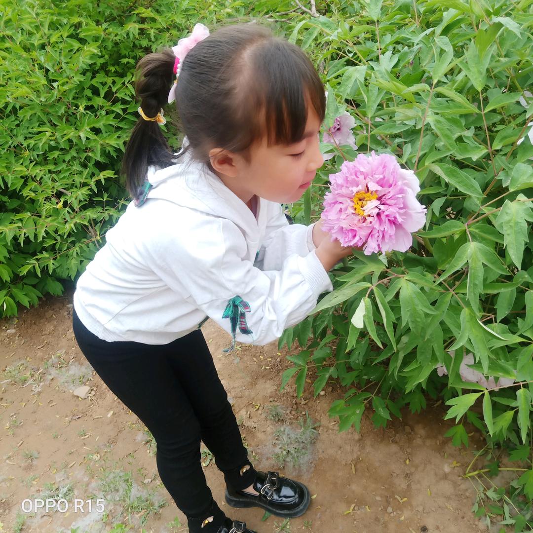 雄鹰