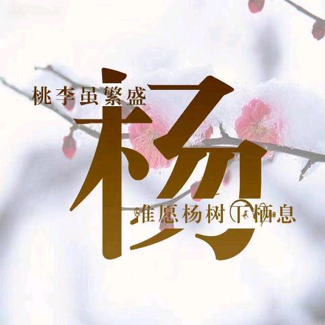 什邡小型犬繁殖（兵哥）