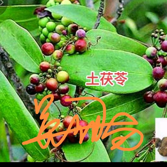 军长❤️君临天下