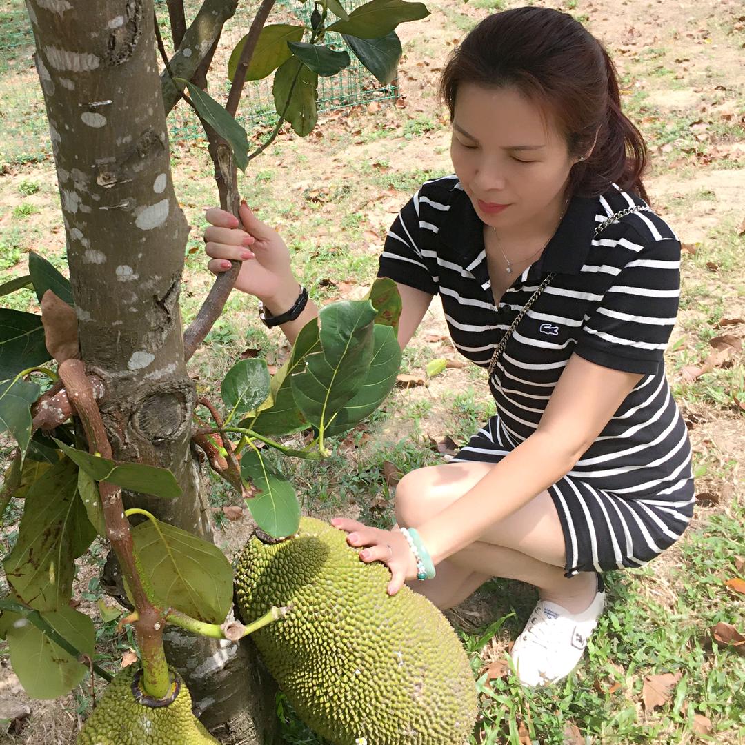 彩云🤗️