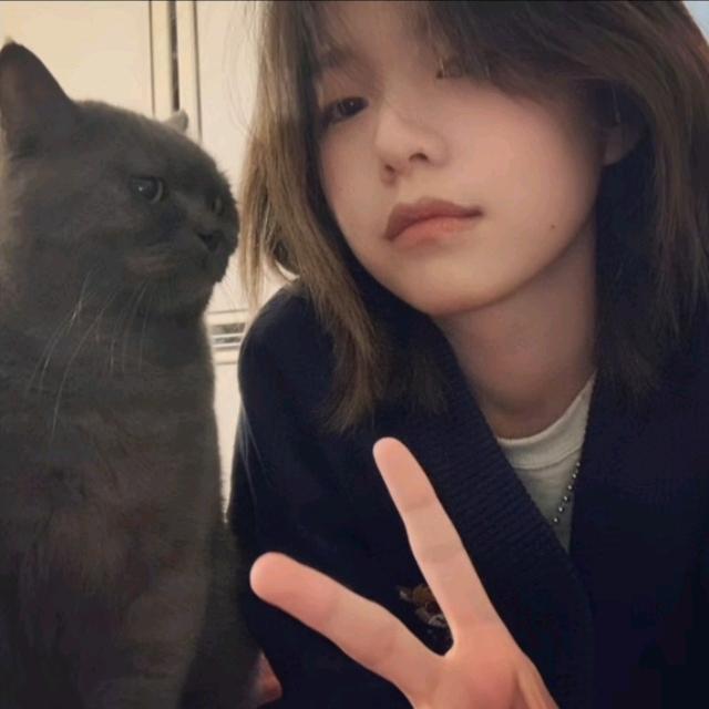 意·
