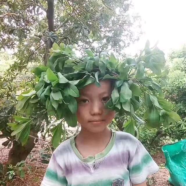 卖杨梅的小八路