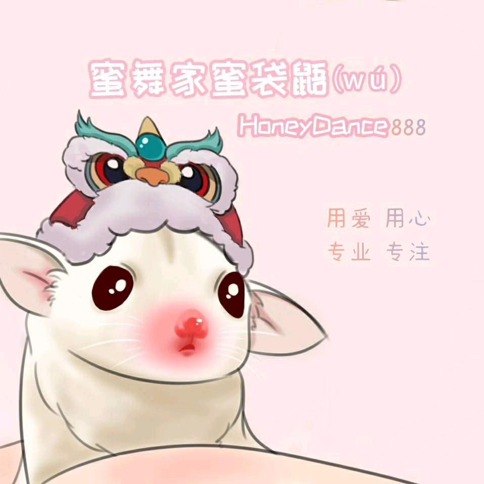 蜜舞家蜜袋鼯