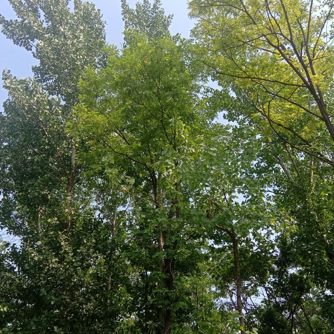 会会