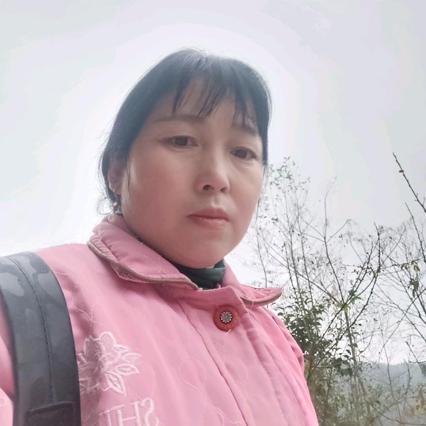 农村小蔡