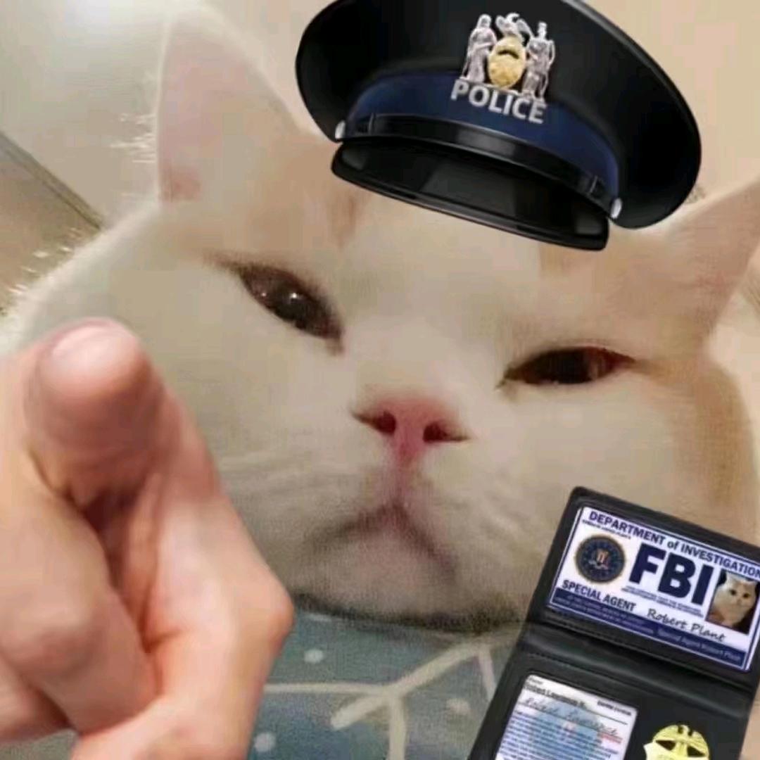 ╰天下丶无双︶￣