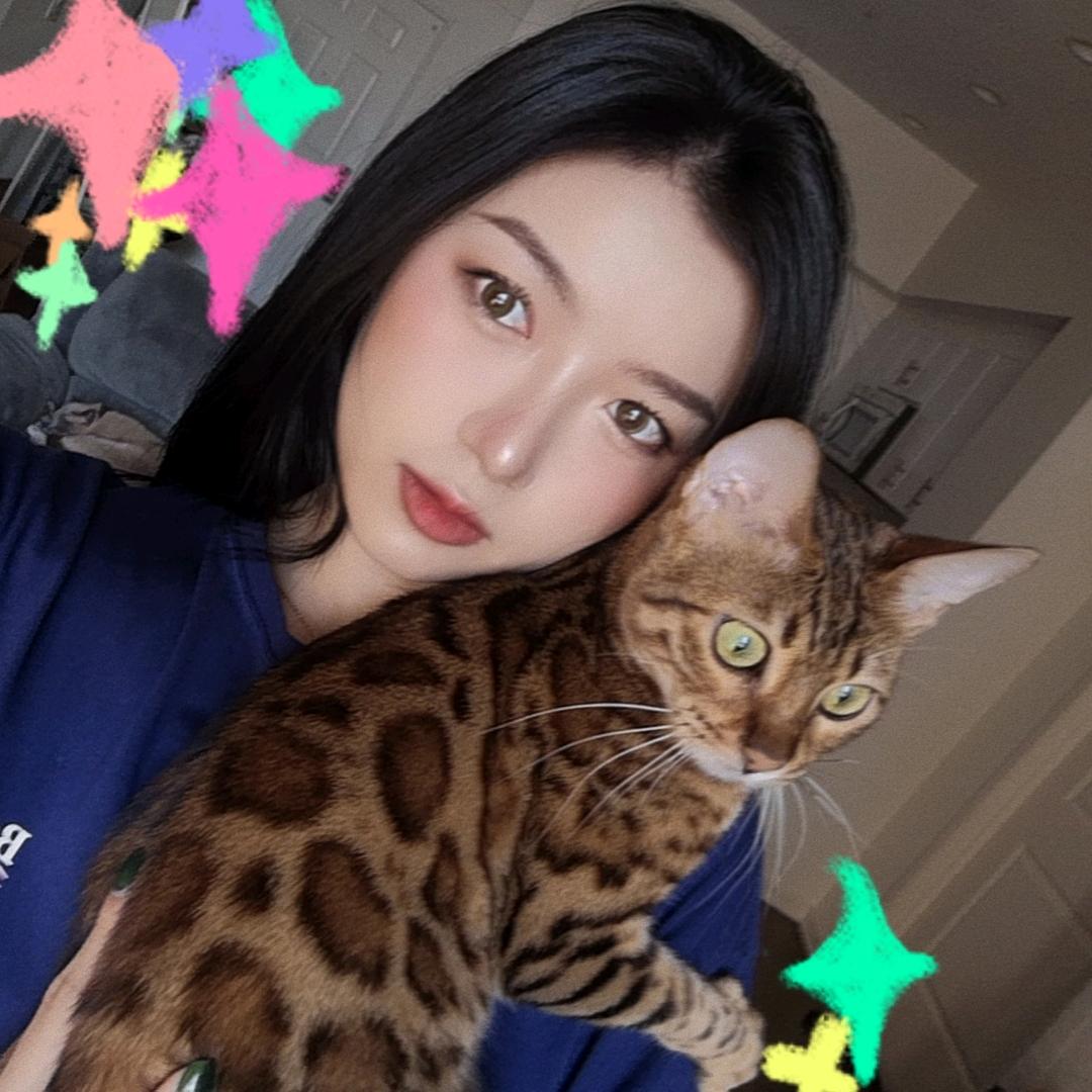 梅xh