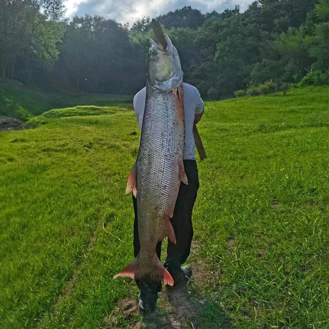 32🌈