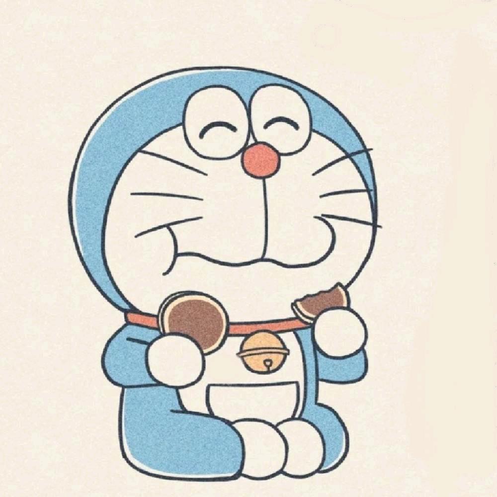 阳光的花落