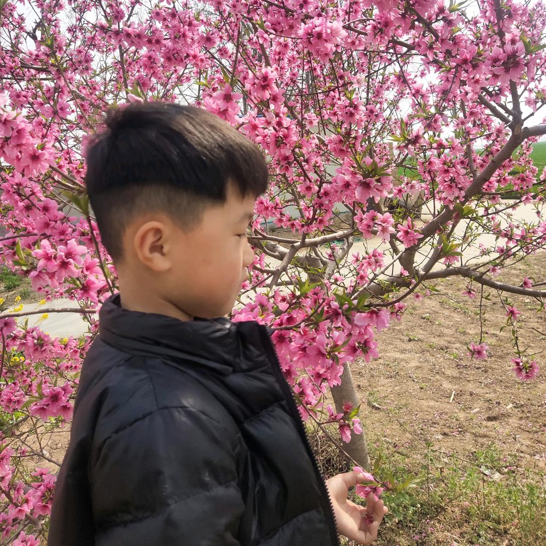 滑县李姐