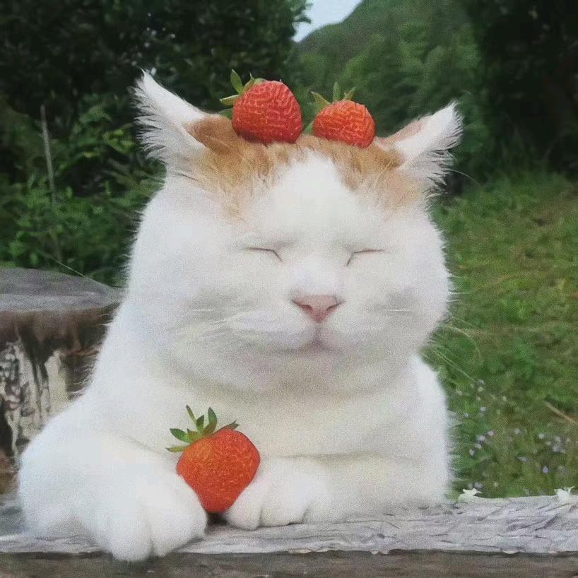 🌈*🌈瘦二十斤