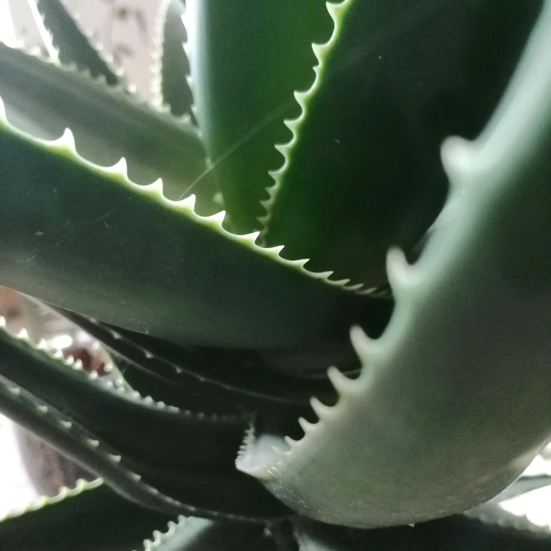 澄城百货