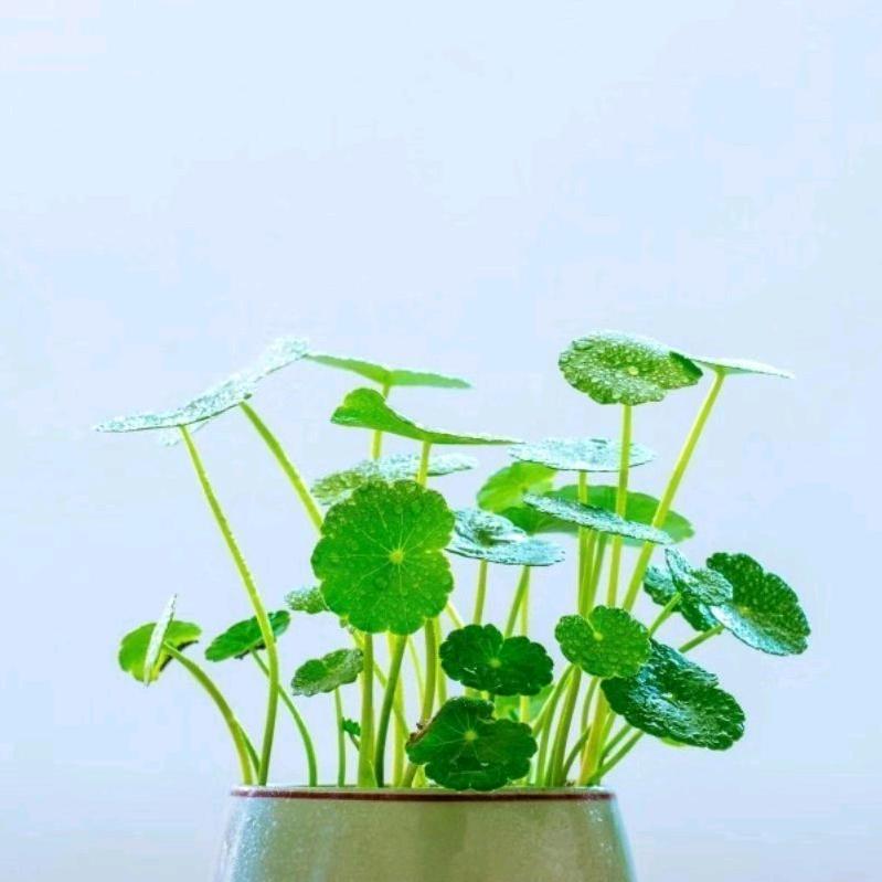 心好，一切都好