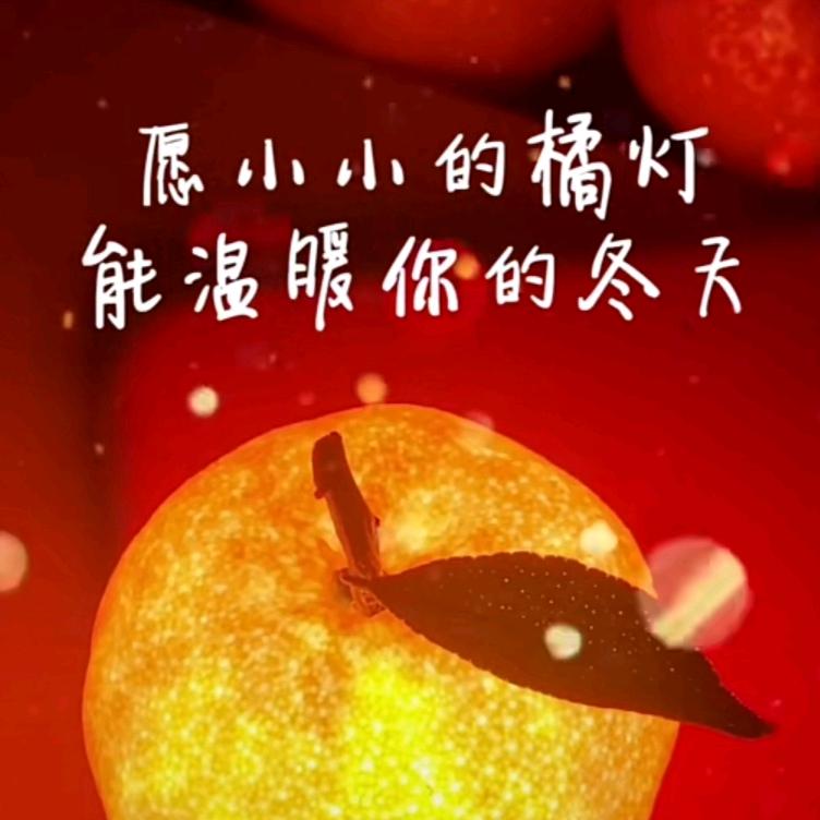 橙橙92500